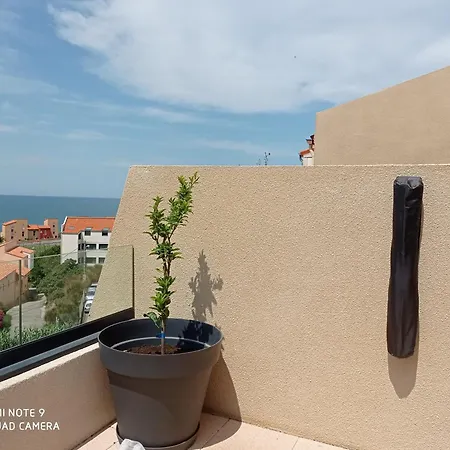 Vénusia Port Vendres